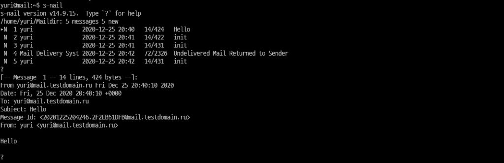 Проверка отправленного письма для настройки почтового сервер на Linux