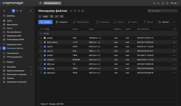 RUVDS ispmanager - Панель управления виртуальными серверами
