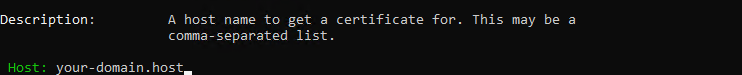 Ввод имени домена - Установка бесплатного сертификата Let’s Encrypt на Apache
