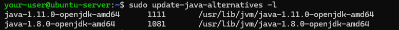 Вывод версий Java, установленных в системе