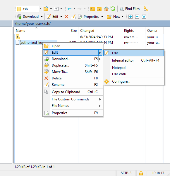 Редактирование файла в WinSCP - Как загрузить открытый ключ SSH