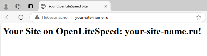 Стартовая страница созданного веб-сайта - виртуальный хост OpenLiteSpeed на CentOS