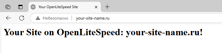 Проверка доступности страницы сайта - Как запустить несколько сайтов на OpenLiteSpeed