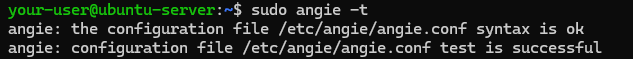 Вывод проверки корректности синтаксиса Angie