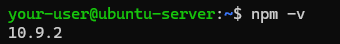 Вывод версии Node Package Manager