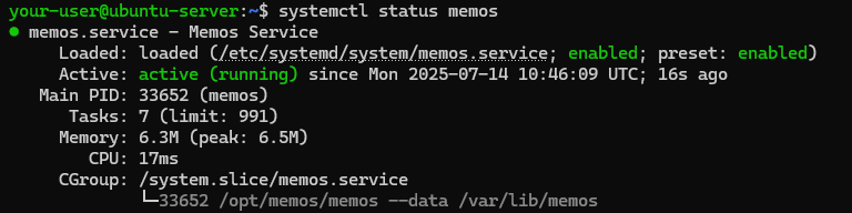 Вывод состояния службы Memos