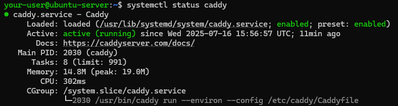 Вывод состояния службы Caddy