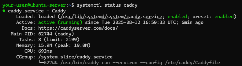 Состояние службы Caddy - Как настроить защиту Stirling-PDF