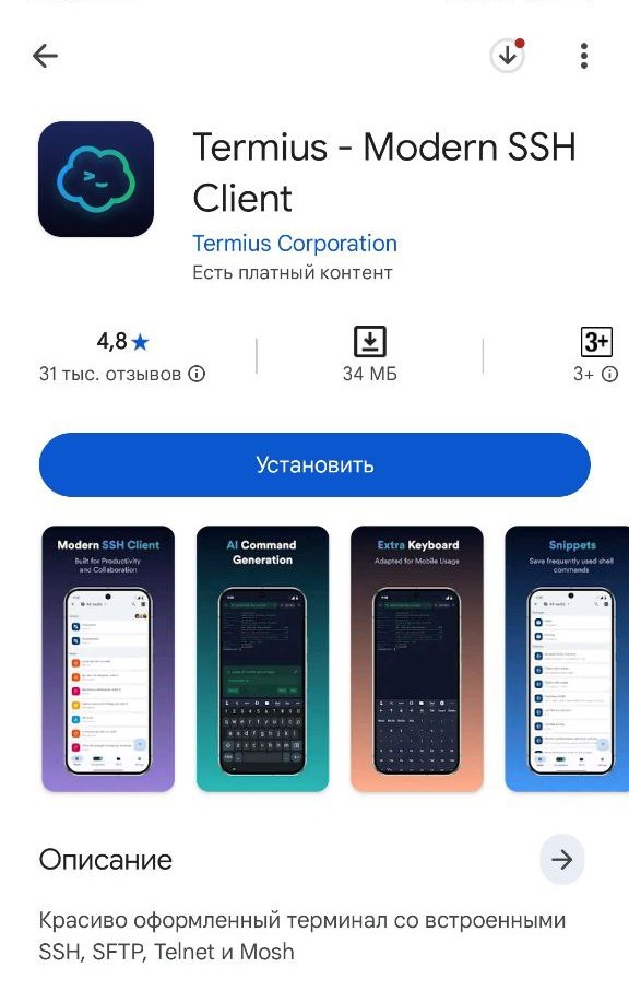 Установить Termius