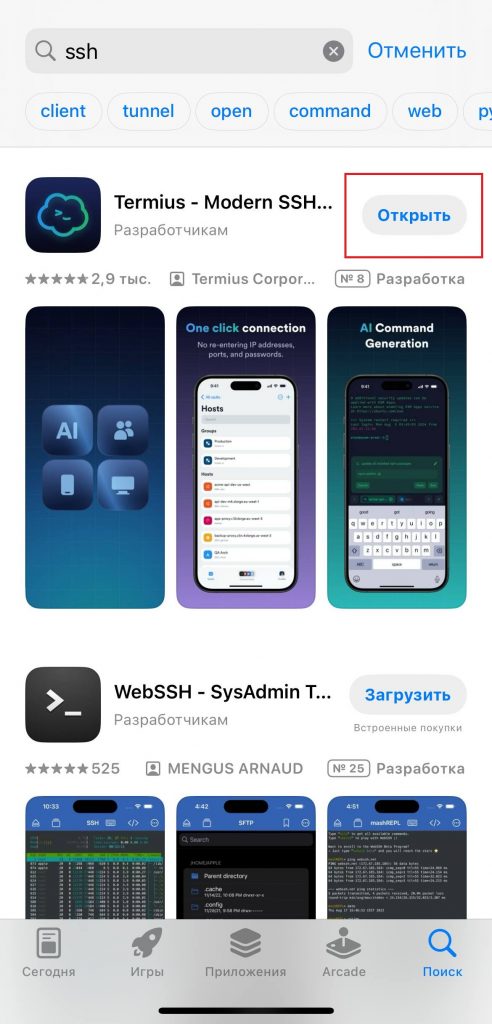Запуск Termius из App Store