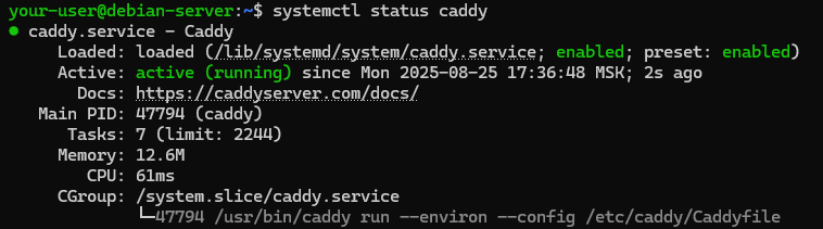 Вывод состояния службы Caddy