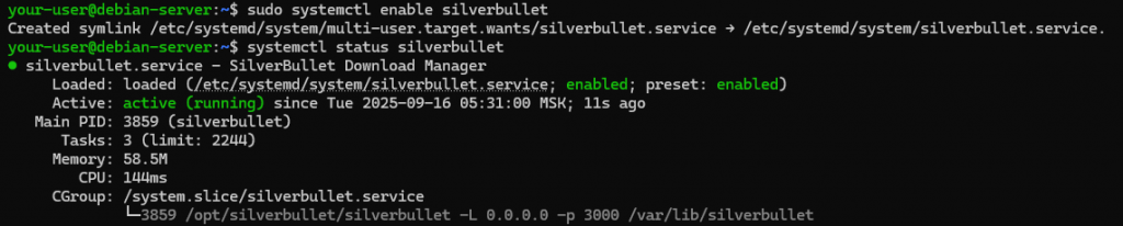 Вывод текущего состояния службы SilverBullet