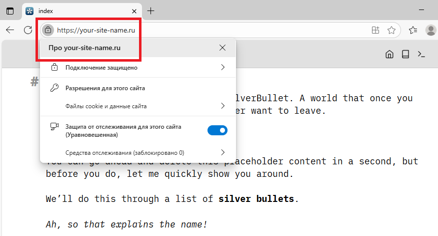 Доступ к интерфейсу SilverBullet по протоколу HTTPS
