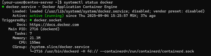 Вывод текущего состояния службы Docker