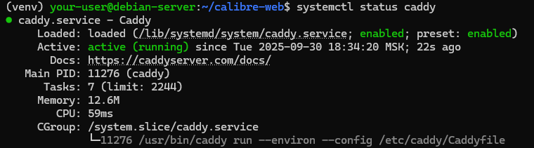 Вывод текущего состояния службы Caddy - Как запустить Calibre-Web на Ubuntu и Debian