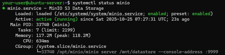 Вывод текущего состояния службы MinIO