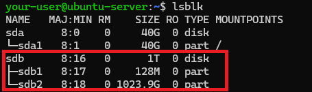 Вывод команды lsblk - Как настроить XFS-раздел на "Большом Диске"