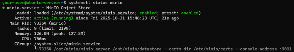 Вывод текущего состояния службы MinIO