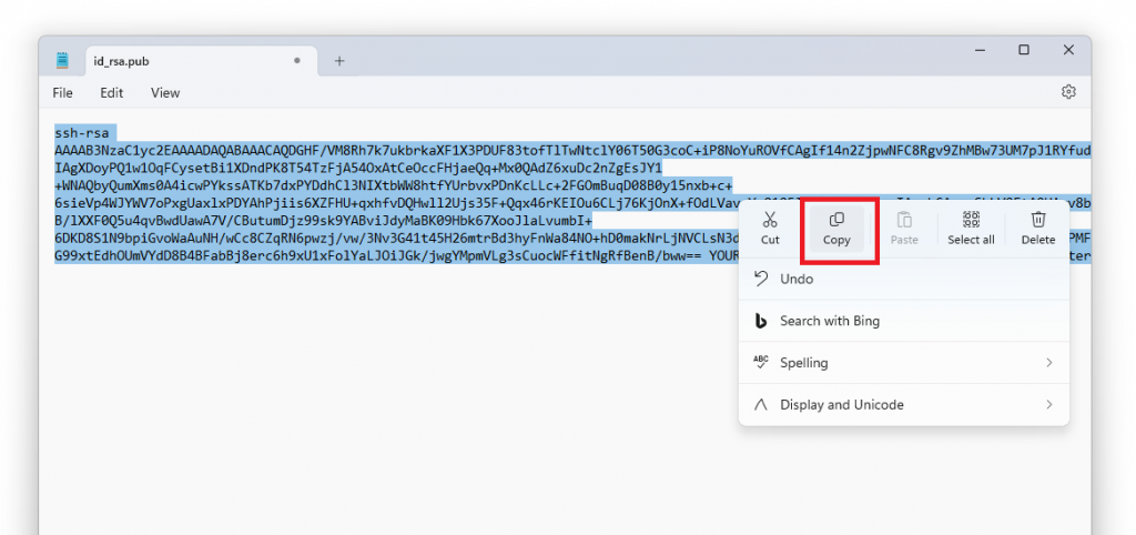 Скопируйте содержимое файла id_rsa.pub для вставки его в authorized_keys