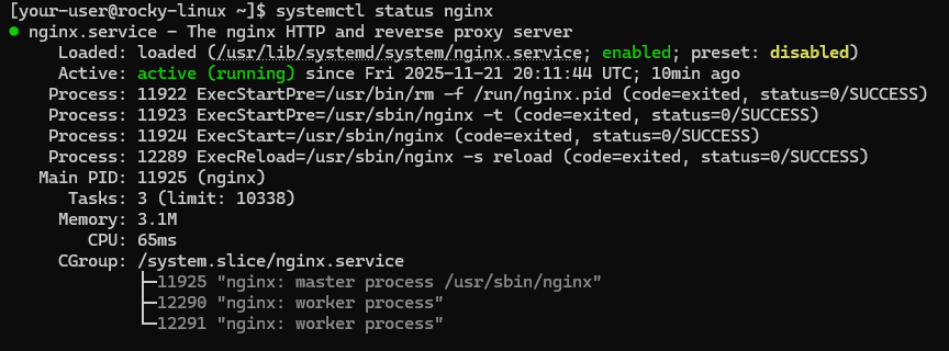 Вывод текущего состояния службы Nginx
