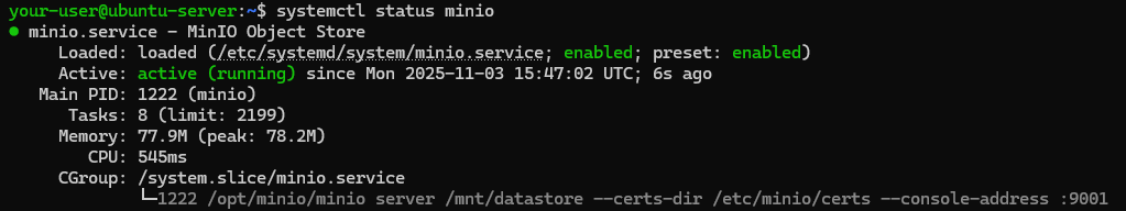 Вывод текущего состояния службы MinIO - Как настроить HTTPS-доступ к веб-панели MinIO