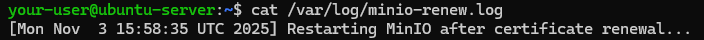 Вывод содержимого файла /var/log/minio-renew.log