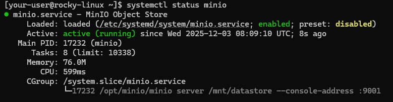 Вывод текущего состояния службы minio