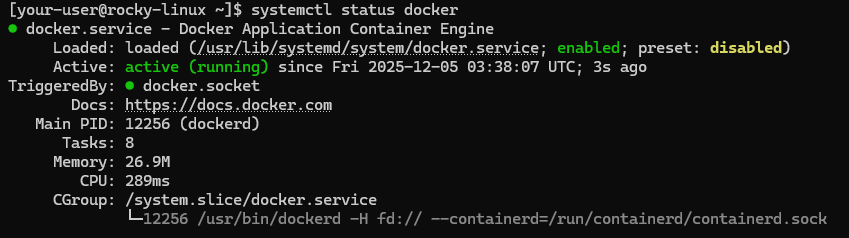 Вывод текущего состояния службы Docker