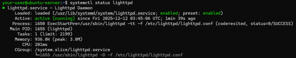 Вывод текущего состояния службы Lighttpd