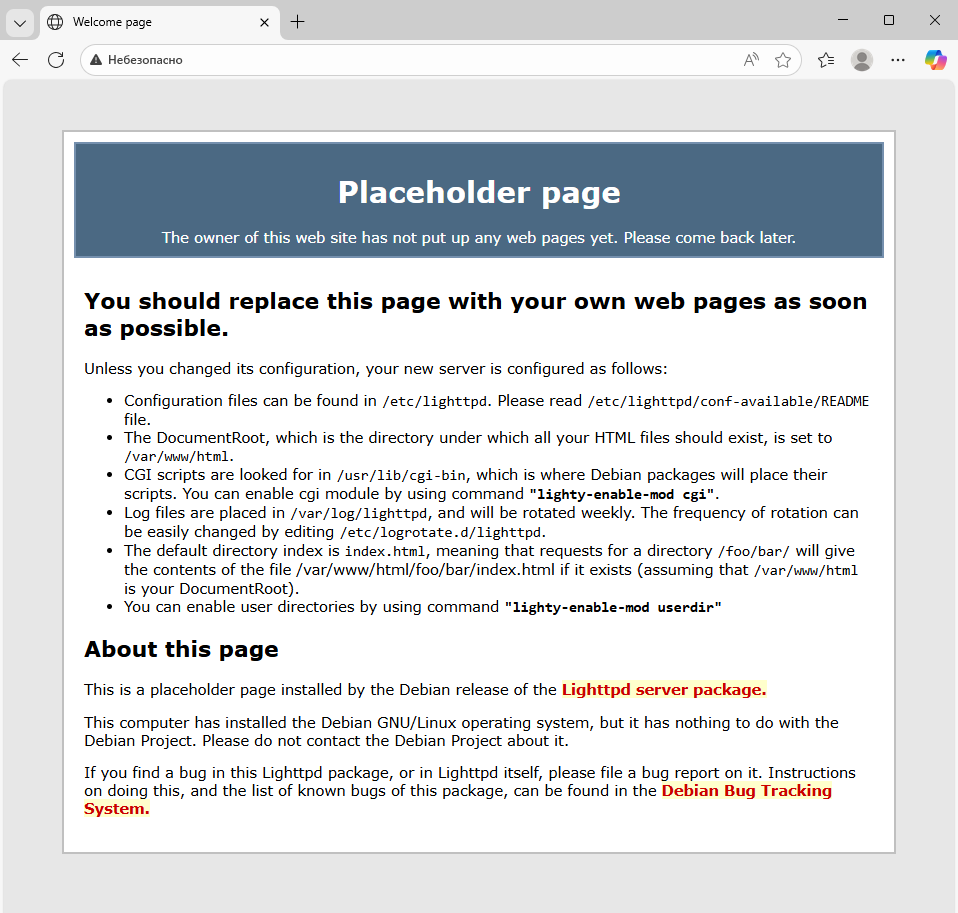 Placeholder page - стандартная заглушка Lighttpd