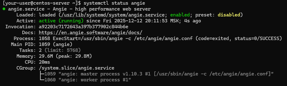 Вывод текущего состояния службы Angie