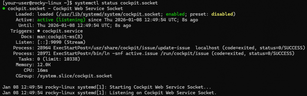 Вывод текущего состояния службы Cockpit