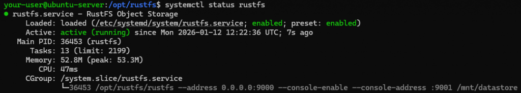 Вывод текущего состояния службы RustFS на Ubuntu