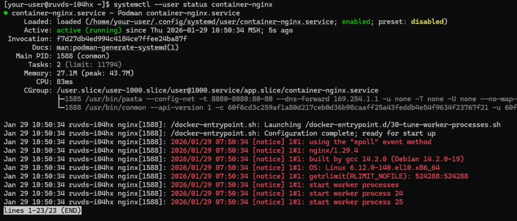 Вывод текущего состояния пользовательской службы container-nginx
