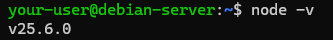 Вывод версии Node.js на Debian