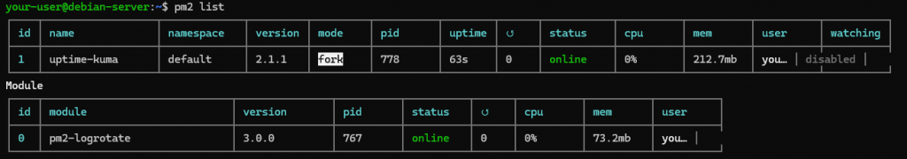 Список процессов PM2