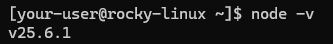 Вывод версии Node.js на Rocky Linux 9