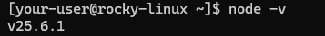 Вывод версии Node.js на Rocky Linux 9