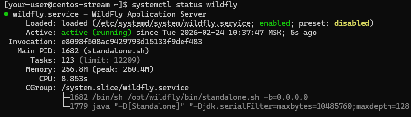 Вывод текущего состояния службы WildFly на CentOS Stream и Rocky Linux