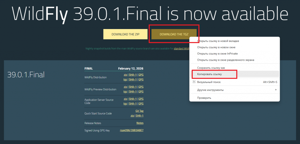Сайт загрузки дистрибутива WildFly