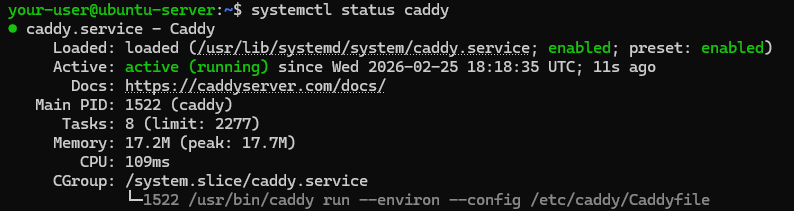 Вывод текущего состояния службы Caddy на Ubuntu и Debian