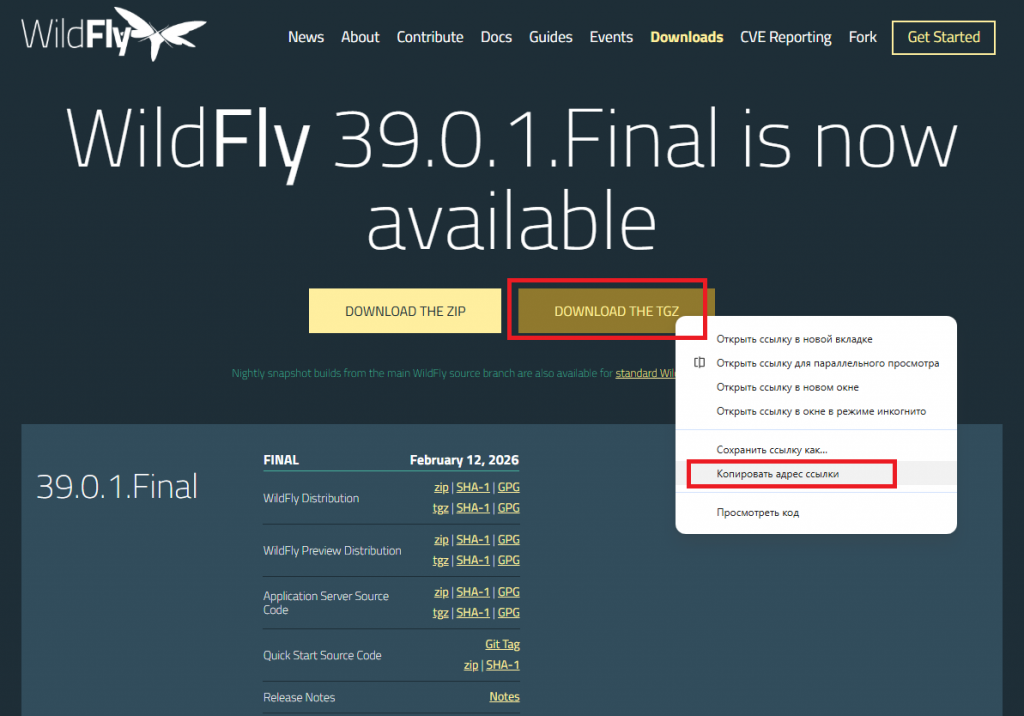 Страница загрузки дистрибутивов  WildFly