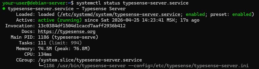 Вывод текущего состояния службы Typesense - Как установить Typesense на Ubuntu и Debian