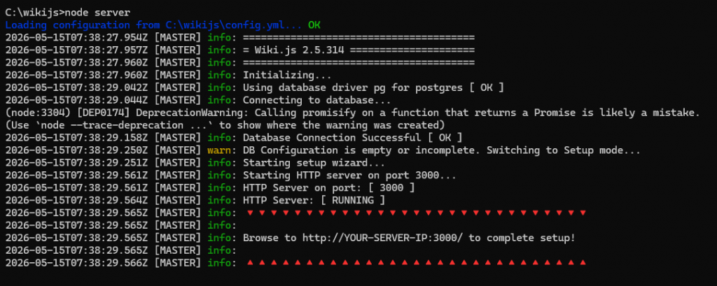 Вывод команды при запуске сервера Wiki.js на Windows Server