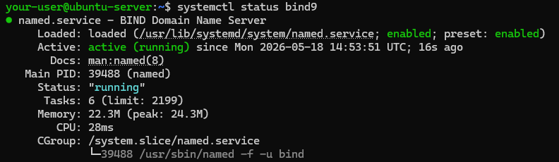 Вывод текущего состояния службы BIND 9