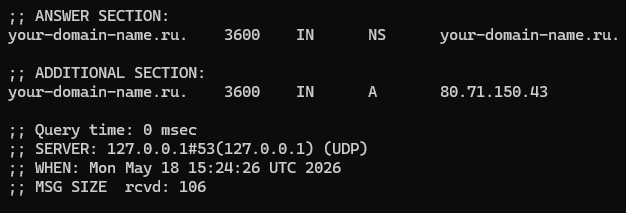 Запрос NS-записи локально - Как настроить DNS-сервер
