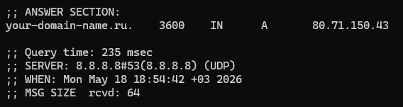 Запрос A-записи через запрос к DNS-серверу Google