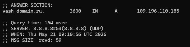 Проверка привязки IP-адреса к имени домена через DNS-сервер Google