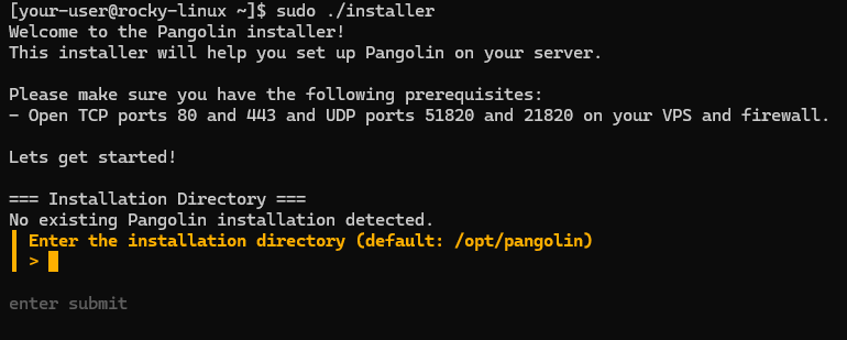 Запуск установщика Pangolin на Linux