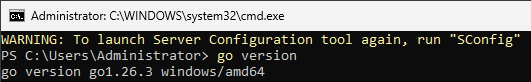 Вывод версии Go - Как установить Go на Windows Server Core